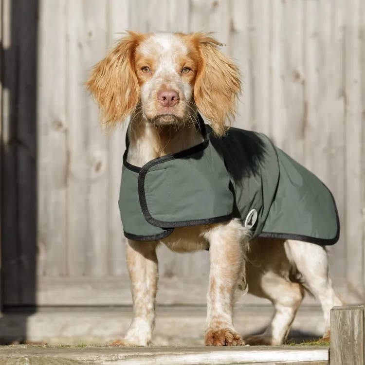 Dog and Field 2-in-1 Waterproof Drying Dog Coat