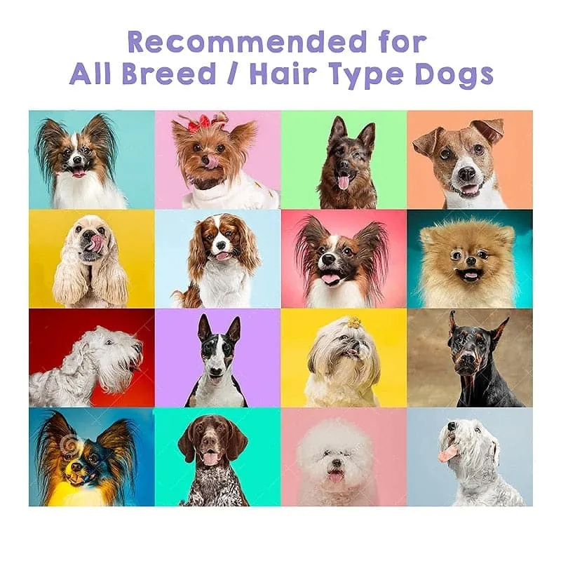 Goofy Tails Acacia and Berry Dog & Puppy Shampoo with Conditioner