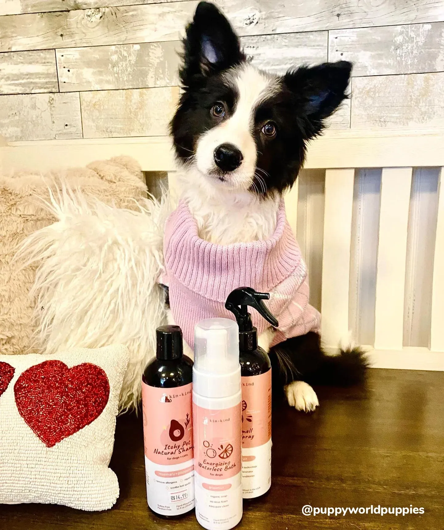 Kin Kind Itchy Pet Natural Shampoo with Avocado for Dogs & Cats (Rosemary)