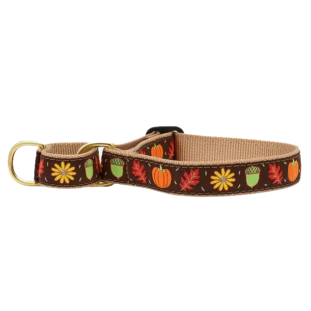 Martingale Collar | Harvest Time