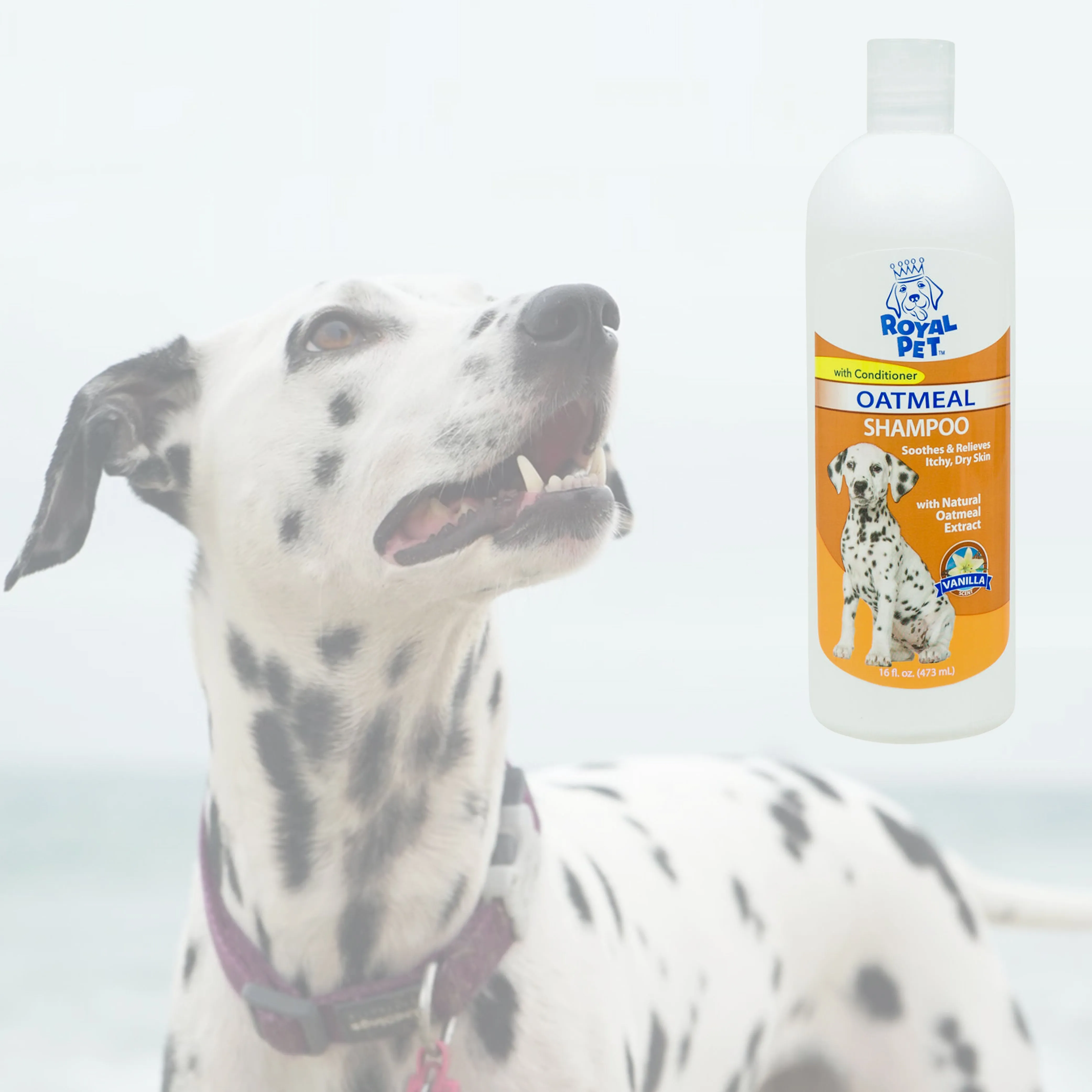 Pet Dogs Natural Shampoo Oatmeal Vanilla Odor Eliminator Dry Itching Skin 16 oz